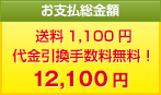 お支払総金額　送料1,100円 代金引換手数料無料！12,100円