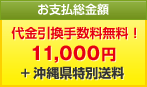 お支払総金額　代金引換（現金）手数料無料！11,000円 +沖縄県特別送料